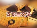 高中生可以讀漢語(yǔ)言文學(xué)嗎