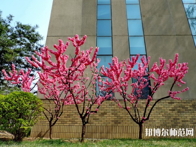 中央財經(jīng)師范大學學院南路校區(qū)招生辦聯(lián)系電話