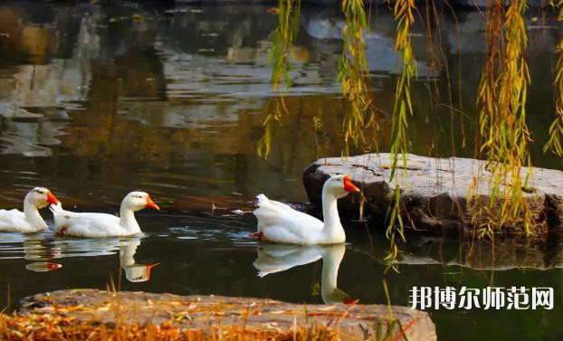 山東財(cái)經(jīng)師范大學(xué)萊蕪校區(qū)2023年報(bào)名條件、招生要求、招生對(duì)象 