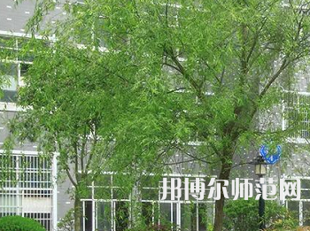 吉首師范大學(xué)張家界學(xué)院2023年招生計(jì)劃