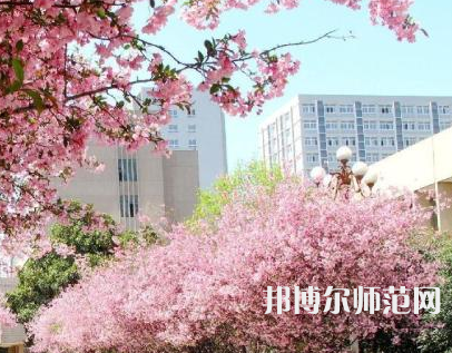 中國礦業(yè)師范大學徐海學院2023年報名條件、招生要求、招生對象