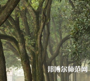 湖南師范大學(xué)樹達學(xué)院2023年招生簡章